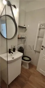 Sagului, apartament 2 camere, clima, parter - foto 6