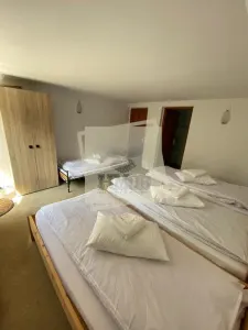 Vila moderna complet utilata 6 camere 5 bai si 377 mp teren in Paltinis - foto 10