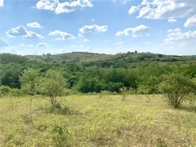 RECO Teren agricol 30.212 mp – ideal pentru livada sau plantatie de zmeura - foto 4