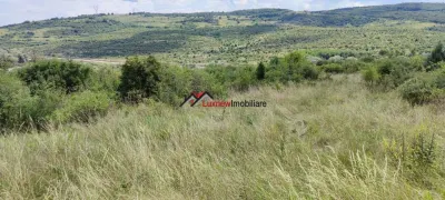 Teren Intravilan 586 mp în Rădaia ! Doar 18.500 € ! Zonă în plina dezvoltare! - foto 3