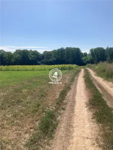 Teren de vanzare Comuna Schitu Duca, langa padure - foto 2