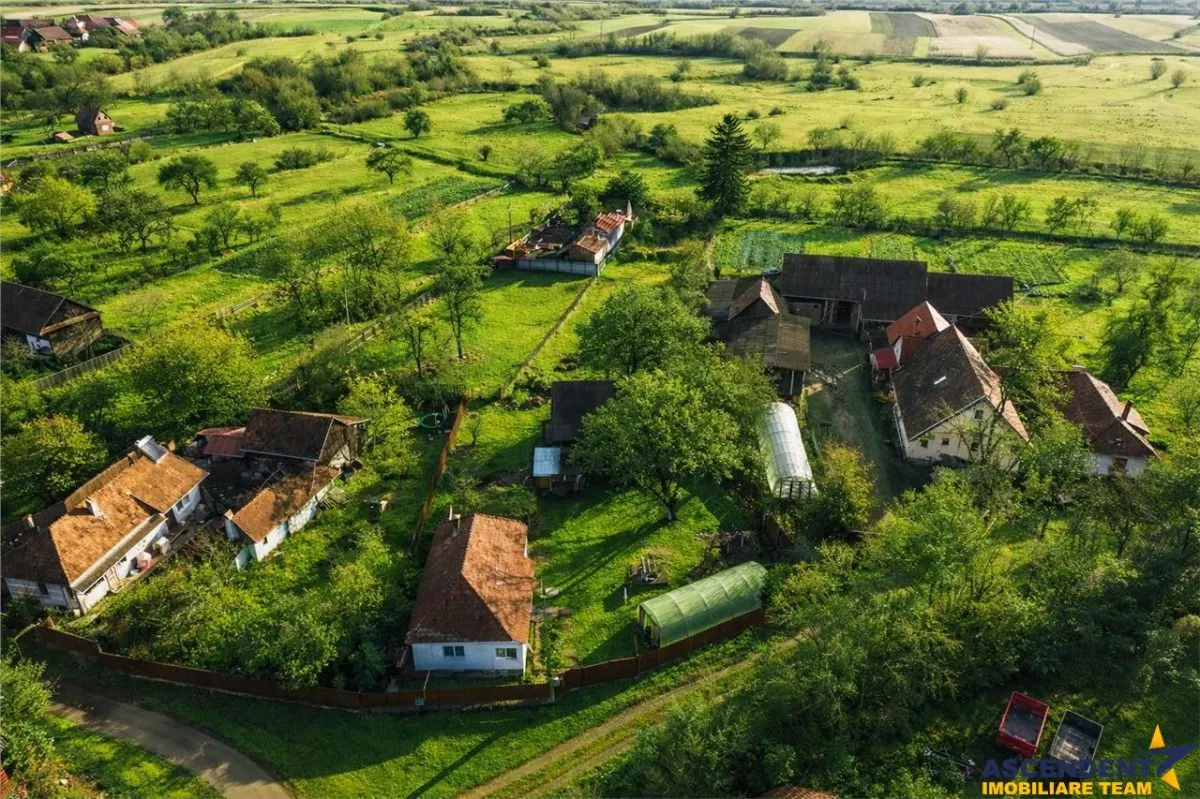 FILM! Casa cu sura, pivnita, balta cu pesti, 2.280 mp teren roditor, Lemnia, Covasna - foto 14