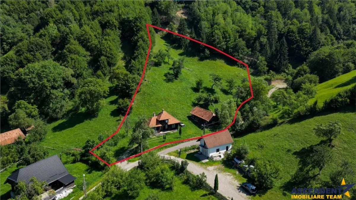 FILM! Proprietate autentica, Bran-Simon, 4.300 mp teren, casa traditionala + anexe - foto 25