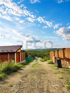 RECO Teren Saldabagiu de Munte, Aviz de oportunitate - foto 4