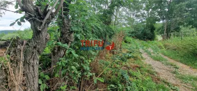 Teren intravilan de vânzare în Straja – ideal pentru casă de vacanță sau investiție turistică - foto 2