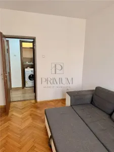 Calea Bogdanestilor, apartament 2 camere, centrala proprie, clima - foto 3