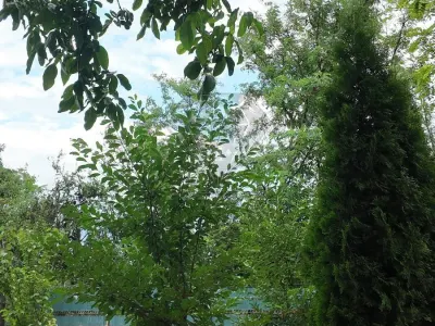 Casa de vanzare Baraitaru, Draganesti, Prahova | Onix Imobiliare - foto 8