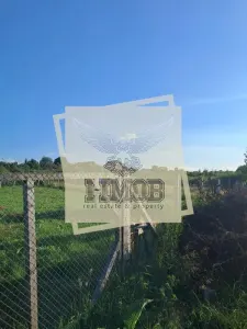 Teren intravilan Daia Noua 500 mp - foto 5
