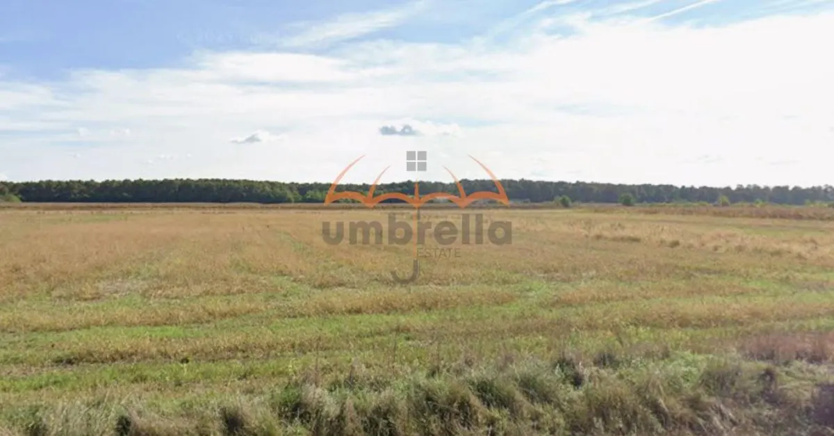 Teren Hideaga | Deschidere pe E58 / DN1C - foto 2