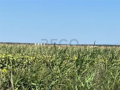 RECO Teren extravilan Tulca 18100 mp - foto 6