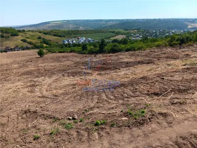 Ocazie! Sorogari TEREN 10000mp intravilan PUZ realizat si  toate utilitatile - foto 6
