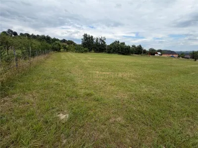 Teren intravilan 6279 mp, Danesti - foto 2