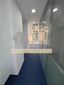 Spatiu comercial stradal, in Ploiesti, zona Malu Rosu. - foto 19