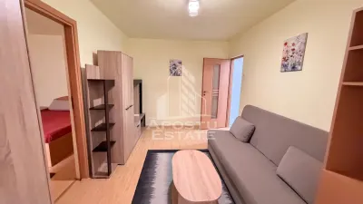 Apartament 2 camere de vanzare in zona Girocului - Judetean Timisoara - foto 2