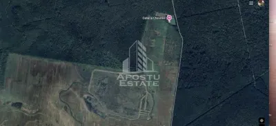 Teren 27000 mp, ideal centru seniori,liziera padurii, Cheveresul Mare. - Cheveresu Mare