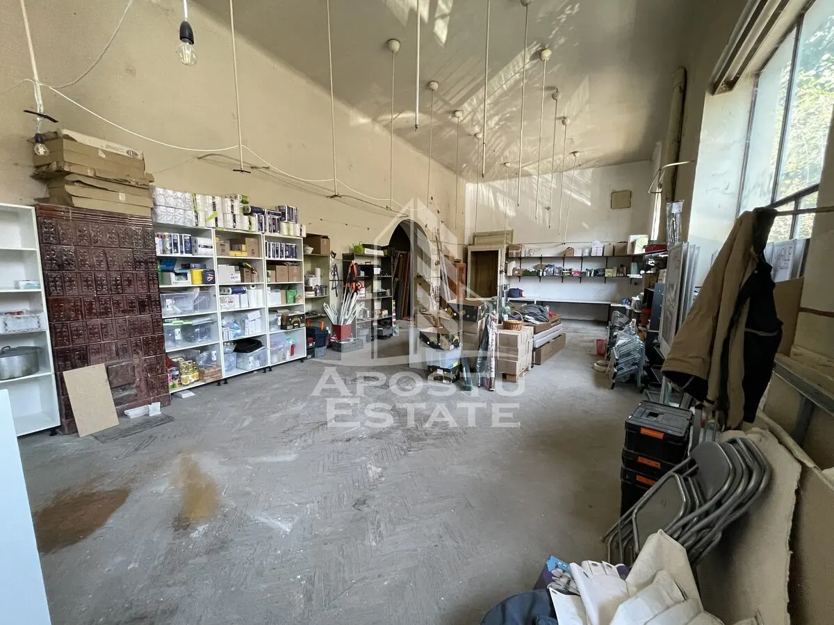 Spatiu comercial 250 mp, pe colt, vitrina generoasa, Sinaia, Timisoara - foto 2
