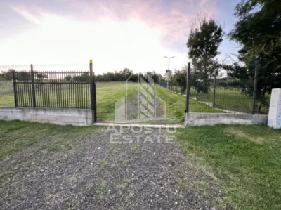 Casa de vacanta cu. teren 31.300  Nadas, 38 km de Timisoara. - foto 6