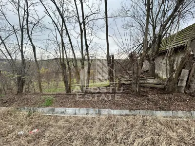 Teren 3920 mp, de vanzare, ideal casa de vacanta, Herneacova. - foto 3
