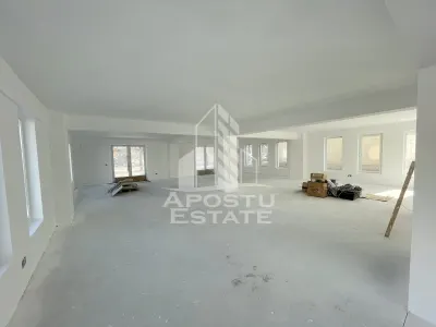 Spatiu comercial 238 mp, zona Lipovei , artera circulata - Timisoara