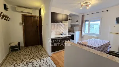 Apartament 2 camere de vanzare, etaj intermediar, Bucovina, Timisoara - foto 12