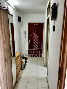 Apartament 2 camere de vanzare, zona Lipovei, Timisoara - foto 8