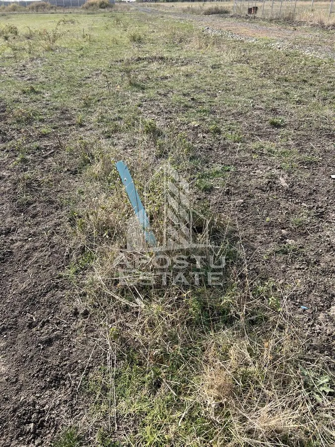 DE VANZARE – Teren 758 mp, zona Metro 2 – cu potential excelent de dez - foto 3