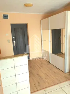 Apartamen doua camere  Micalaca - foto 5