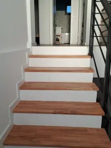 Casa/Vila de inchiriat Antibiotice - 770 euro - foto 4