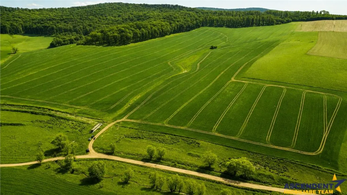 FILM! Portofoliu funciar de exceptie: 23.669 mp teren extravilan Sangiorgiu, Mures - foto 1