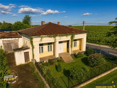 Proprietate unica in zona viticola Odobesti, Vrancea, casa boiereasca cu 4.000 mp de teren intravilan - foto 6