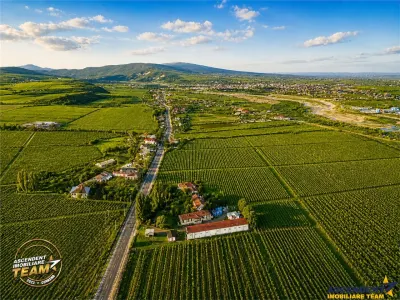Proprietate unica in zona viticola Odobesti, Vrancea, casa boiereasca cu 4.000 mp de teren intravilan - foto 7