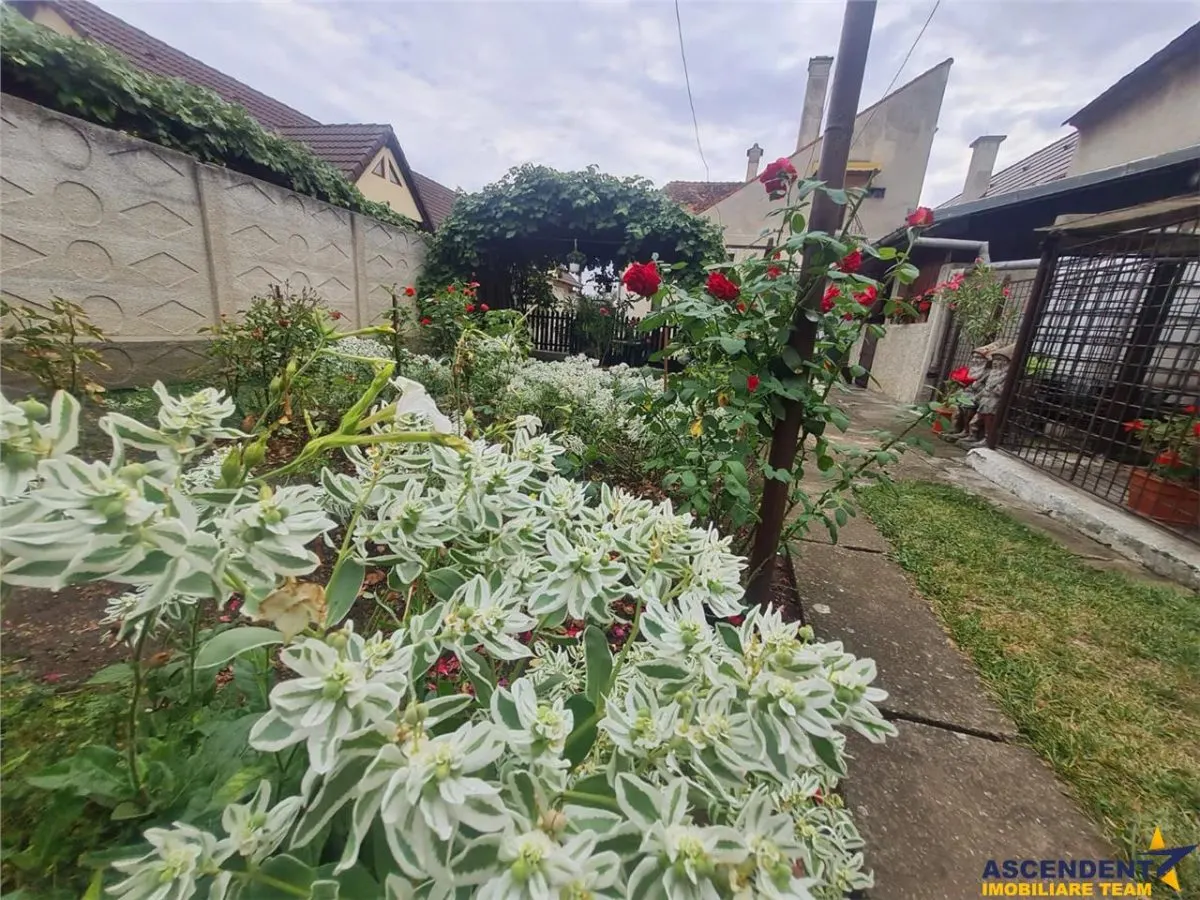 Casa cu vatra traditionala, gradina, garaj, facilitati, Codlea, Brasov - foto 14