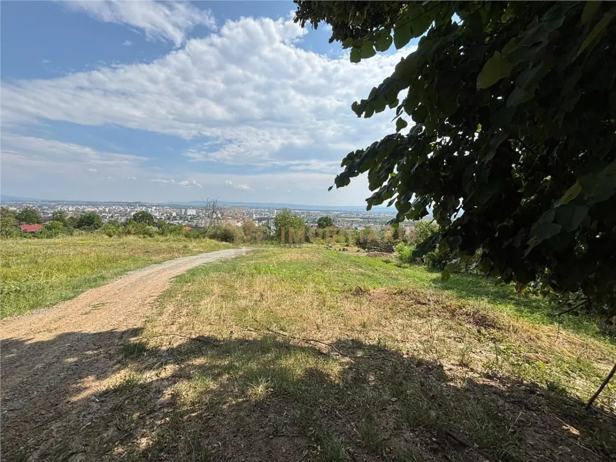Teren intravilan zona Grigore Ureche - foto 4