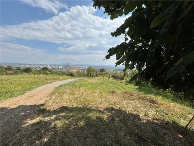 Teren intravilan zona Grigore Ureche - foto 6