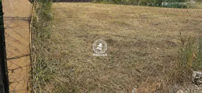 Teren de vanzare centru Valea Lupului - foto 2