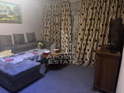Apartament cu 2 camere de vanzare, etaj4/5, Zona Lipovei , Timisoara - foto 2