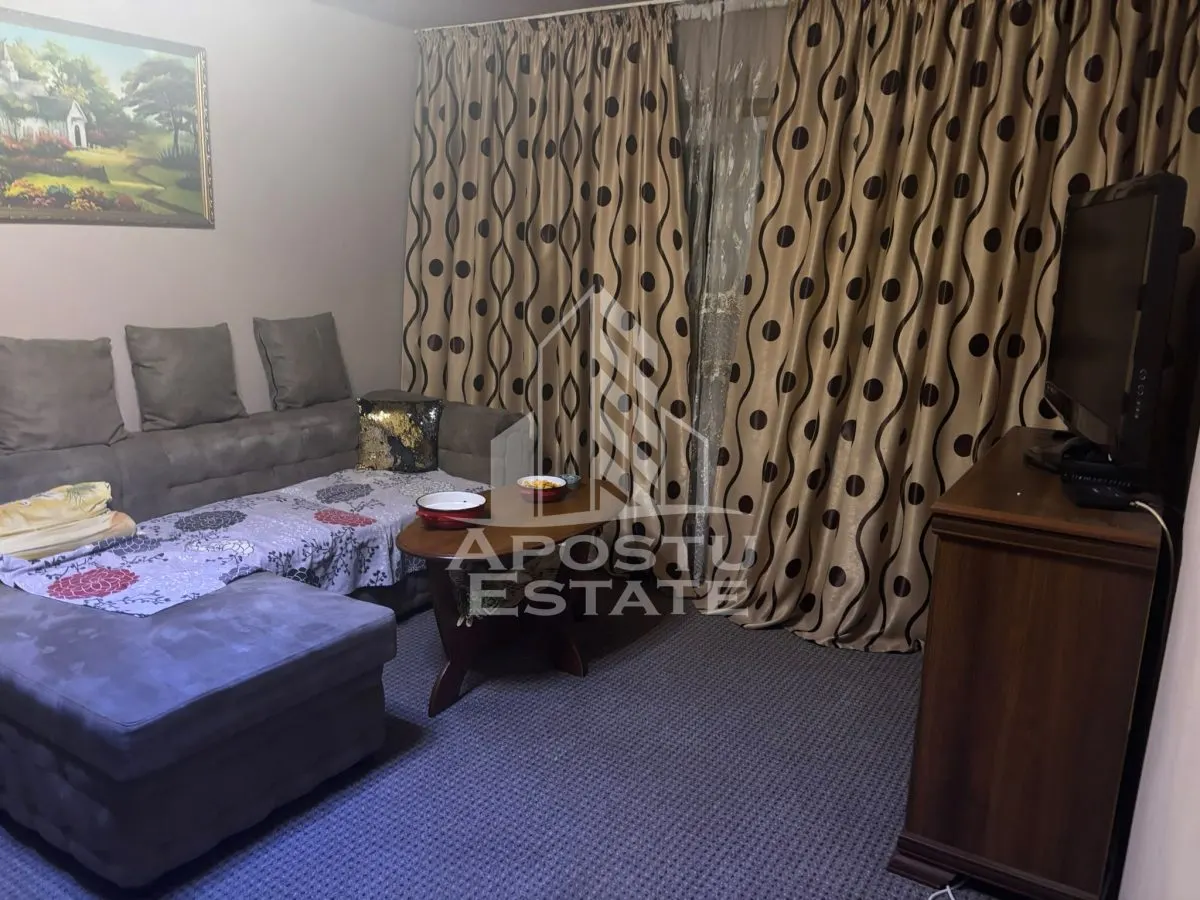 Apartament cu 2 camere de vanzare, etaj4/5, Zona Lipovei , Timisoara - foto 2