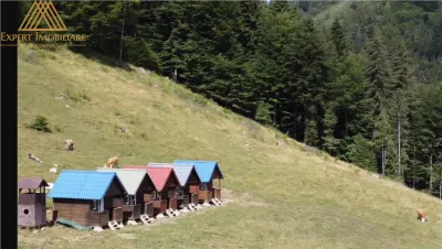 Teren 5ha in Munții Rarau - foto 8
