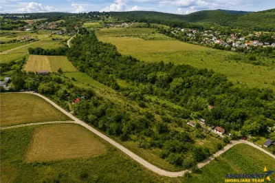 FILM! Confortabila ariere, 4.500 mp, arbori roditori, Sancraiu,Covasna - Sfantu Gheorghe