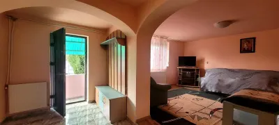 Casa+ hala,cu gradina si livada,Felecheriu,Osorhei,Bihor - foto 4