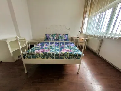 Vanzare apartament 2 camere cu centrala Armeneasca/Mosilor - foto 5