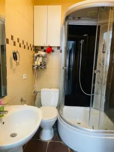 VANZARE VILA 5 CAMERE PIPERA VOLUNTARI - foto 17
