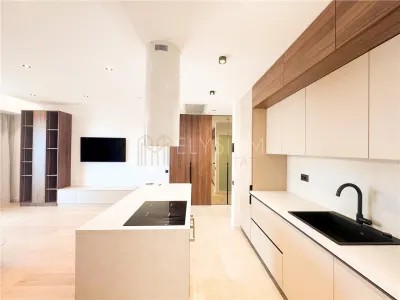 Apartament de inchiriat 2 camere One Herastrau Vista - foto 14