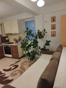 Berceni-garsoniera tip studio, mobilat-utilat - foto 10