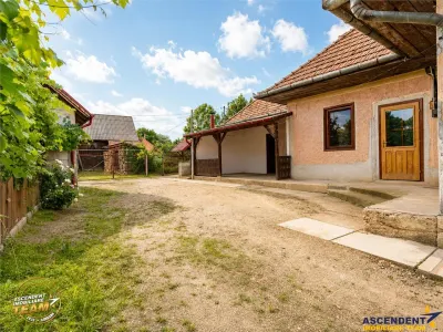 Ansamblu: Casa + atelier + sura + 1.123mp teren,  Sat Lunga, Covasna - Lunga