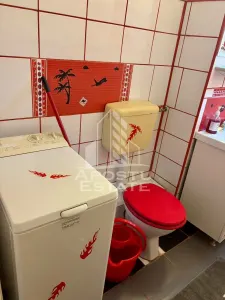 Apartament cu 3 camere , de inchiriat , zona Aradului , Timisoara - foto 9