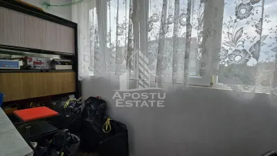 Apartament cu 4 camere de vanzare, zona Lipovei, Timisoara - foto 13