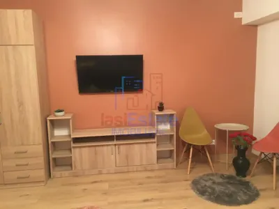 Apartamnet 1 Camera Nicolina - Prima Statie - foto 4