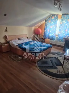Vila D+P+1E in Lipovei … pozitie foarte buna - foto 5