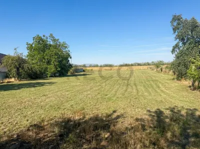 RECO Teren intravilan de vanzare in Gepiu – 1.439 mp - foto 3